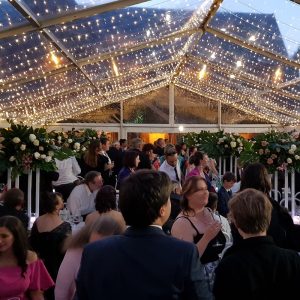 wedding fairy lighting