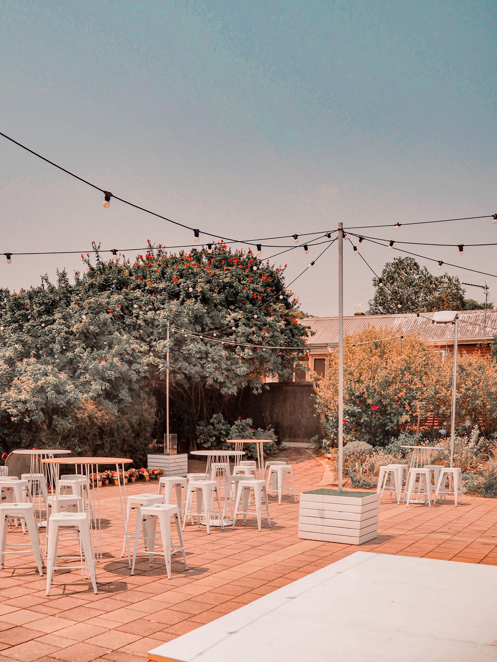 85064376_230527377957764_6645346680826757120_n