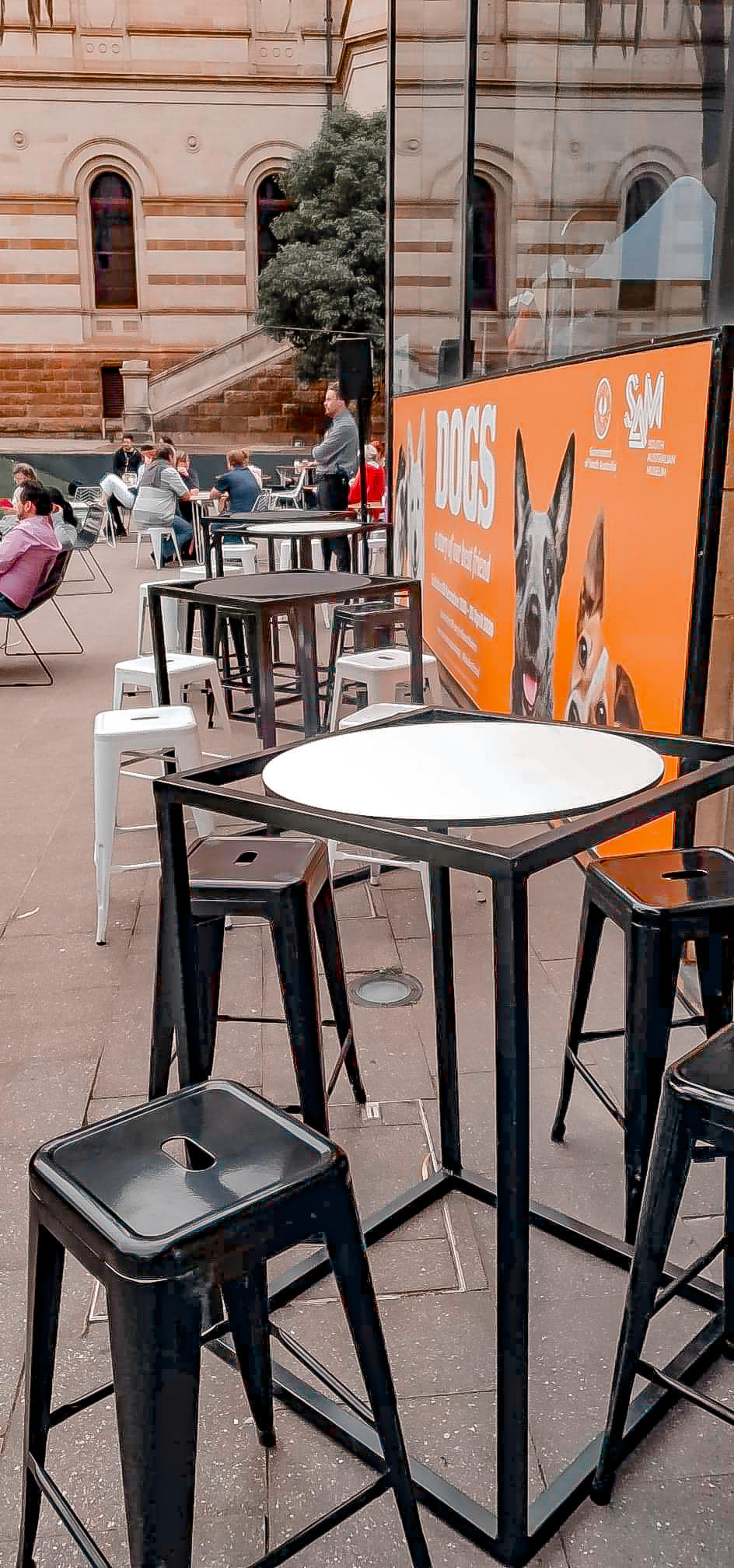 86702912_900228450416125_1051271667503857664_n